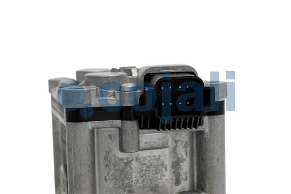 Cojali Uitlaatklep 2880228