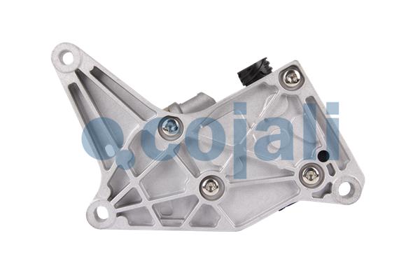 Cojali Magneetklep 2880231