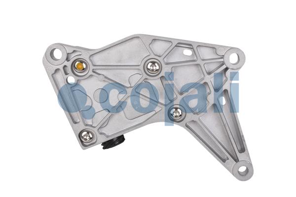 Cojali Magneetklep 2880232