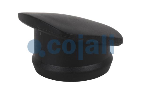 Pookknoppen  Cojali 2880234