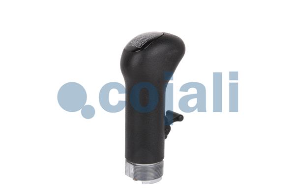 Pookknoppen  Cojali 2880236