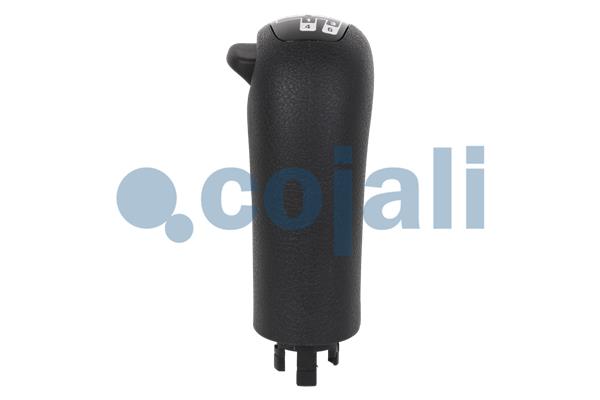 Cojali Pookknoppen  2880237