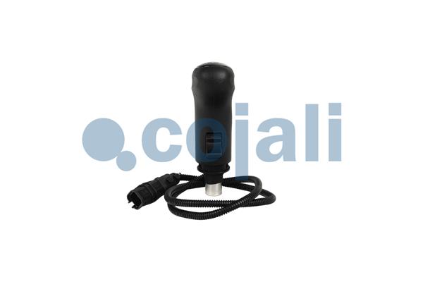 Pookknoppen  Cojali 2880267