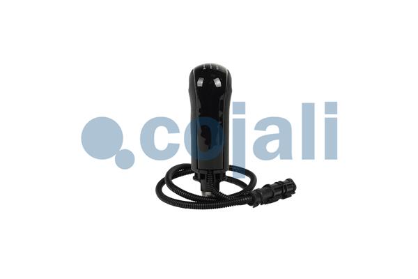 Cojali Pookknoppen  2880267