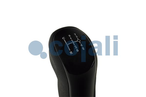 Cojali Pookknoppen  2880267