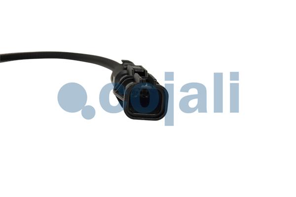 Cojali Pookknoppen  2880267