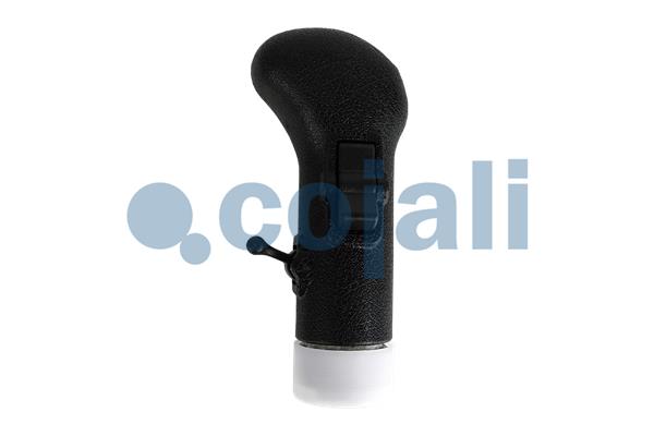 Pookknoppen  Cojali 2880272