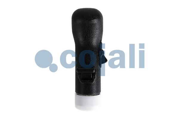 Cojali Pookknoppen  2880272