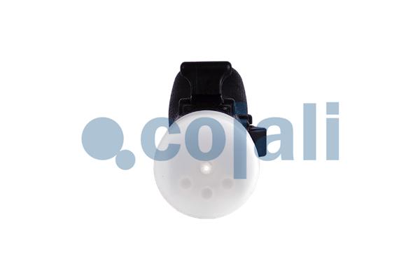 Cojali Pookknoppen  2880272
