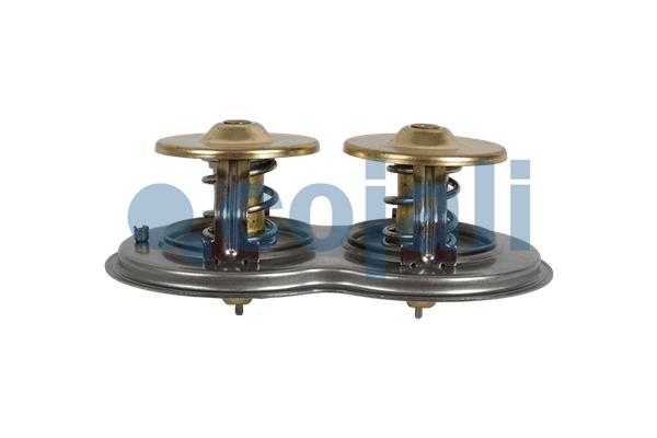 Cojali Thermostaat 2880278
