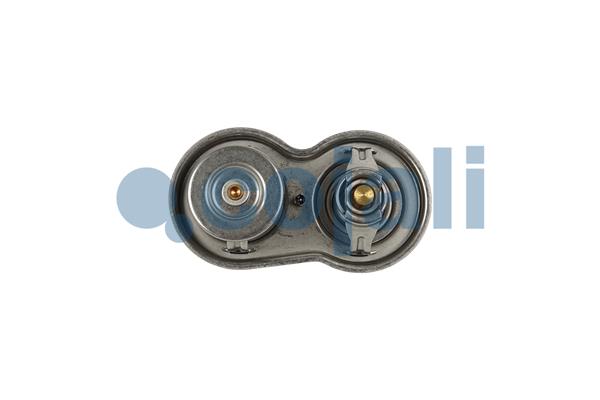 Cojali Thermostaat 2880279