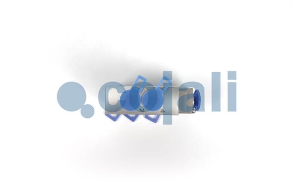 Cojali Meerwegklep 2880284