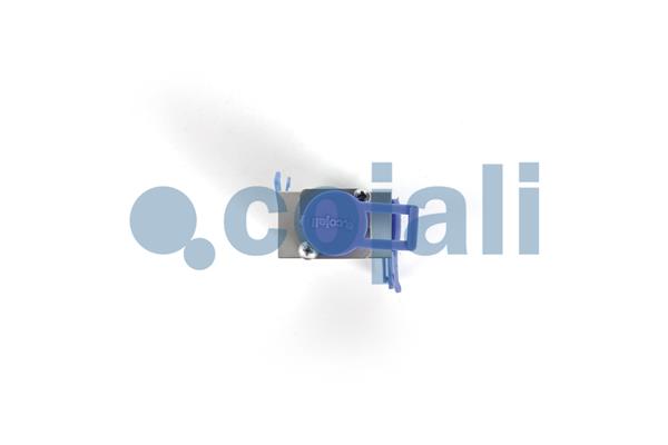 Cojali Meerwegklep 2880284