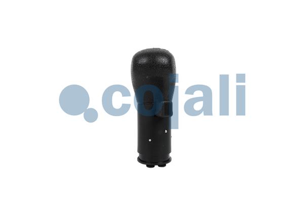 Pookknoppen  Cojali 2880289