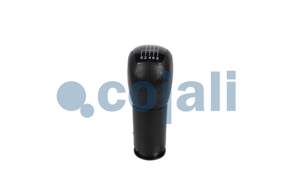 Cojali Pookknoppen  2880289