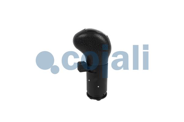 Cojali Pookknoppen  2880289