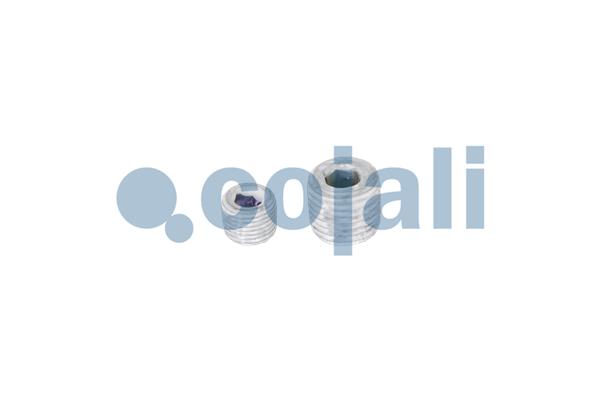 Cojali Drukbegrenzingsklep 2991095