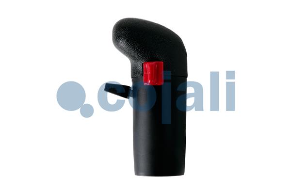 Pookknoppen  Cojali 2991106
