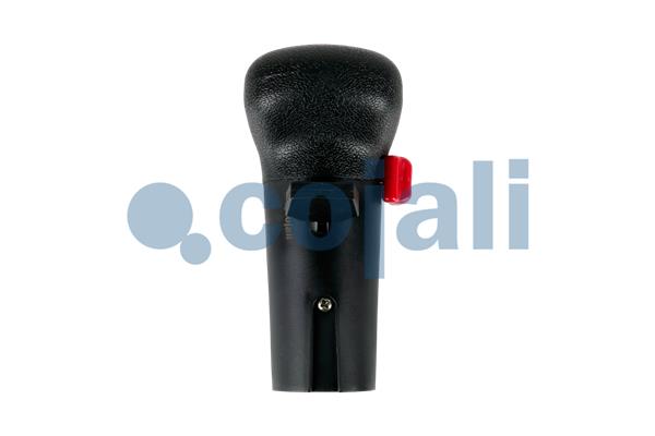 Cojali Pookknoppen  2991106