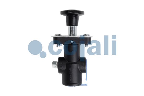 Klep Cojali 2991141