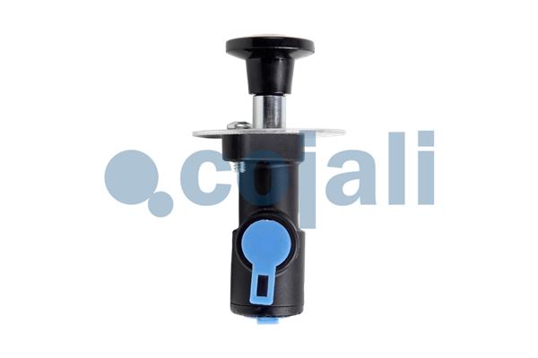 Cojali Klep 2991141