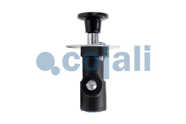 Cojali Klep 2991141