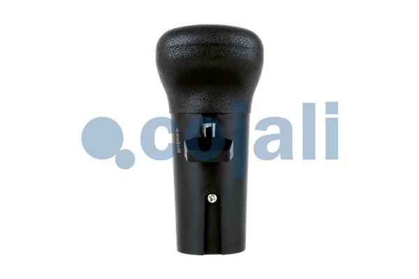 Pookknoppen  Cojali 2991149