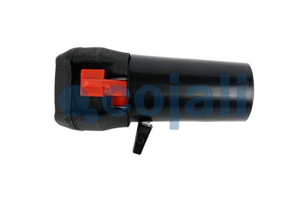 Pookknoppen  Cojali 2991150