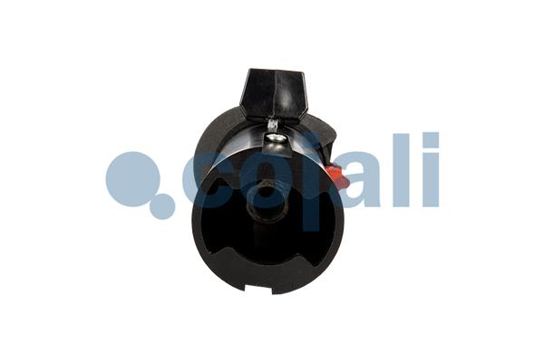 Cojali Pookknoppen  2991150