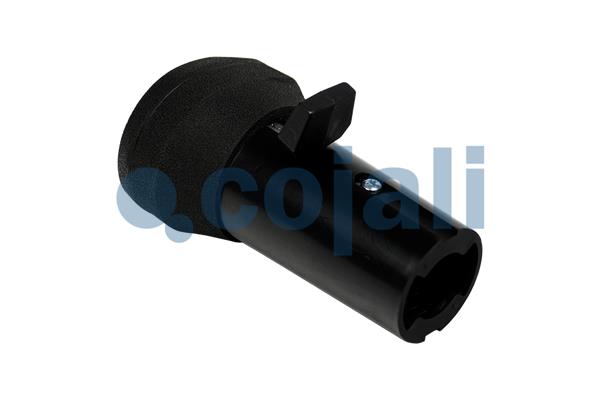Pookknoppen  Cojali 2991151