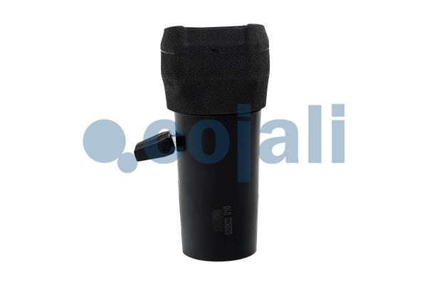 Cojali Pookknoppen  2991151