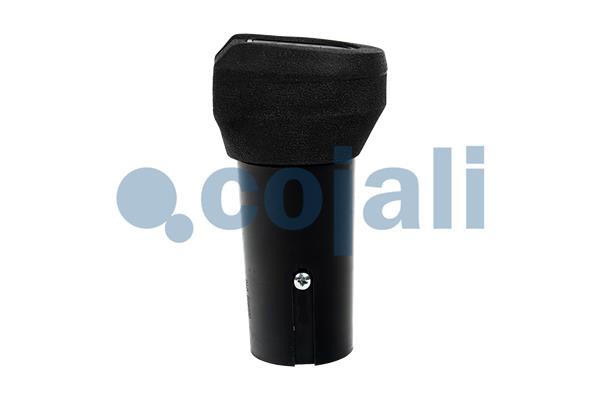 Cojali Pookknoppen  2991151