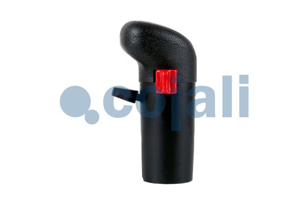 Pookknoppen  Cojali 2991152