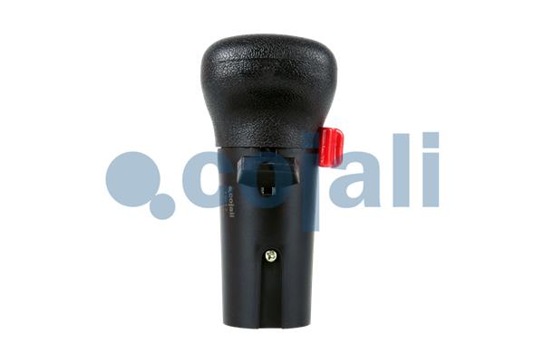 Cojali Pookknoppen  2991152