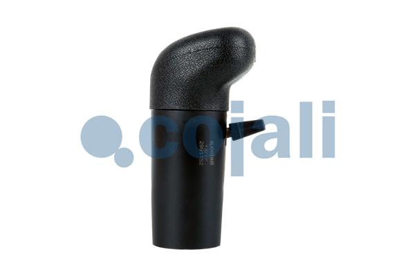Cojali Pookknoppen  2991152