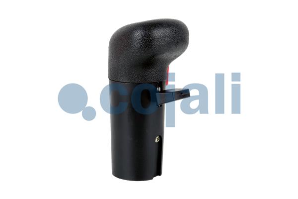 Cojali Pookknoppen  2991152