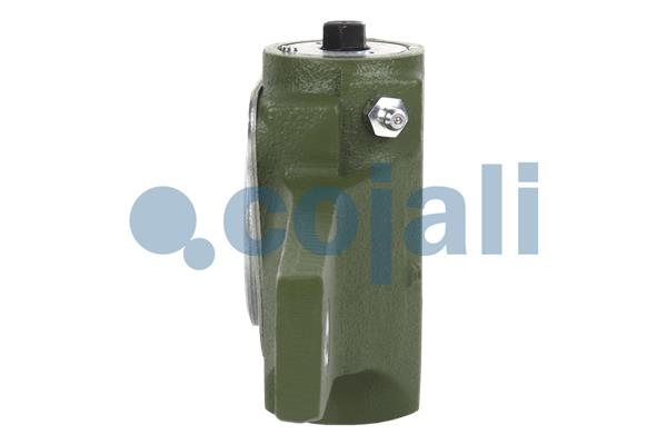 Cojali Remstelinrichting 4230238