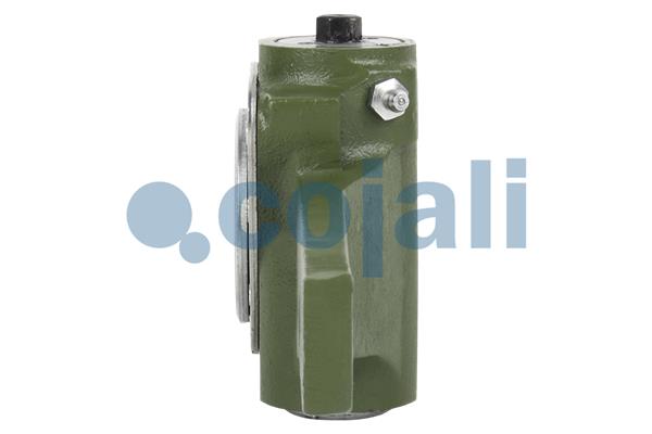 Cojali Remstelinrichting 4230611