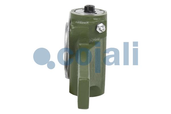 Cojali Remstelinrichting 4230637