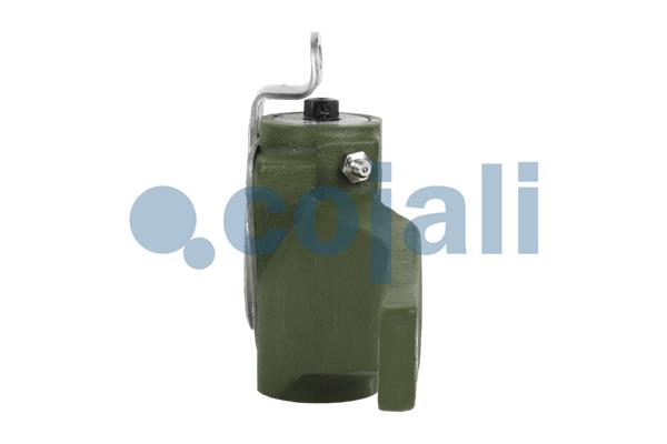 Cojali Remstelinrichting 4230714