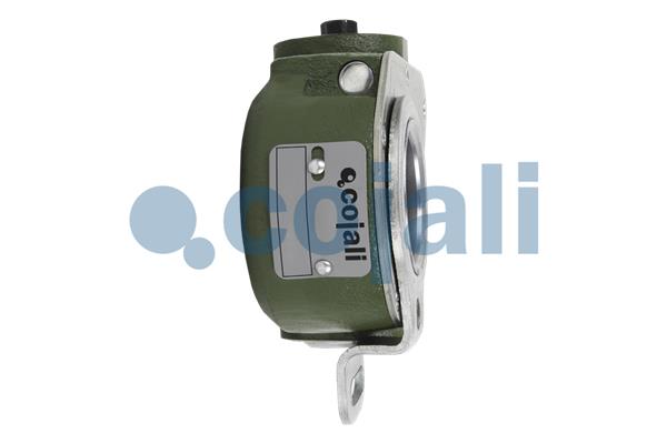 Cojali Remstelinrichting 4231306