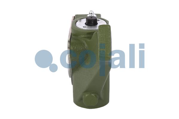 Cojali Remstelinrichting 4231378
