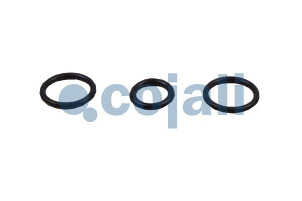 Cojali Koppelingsbekrachtiger reparatieset 6012233
