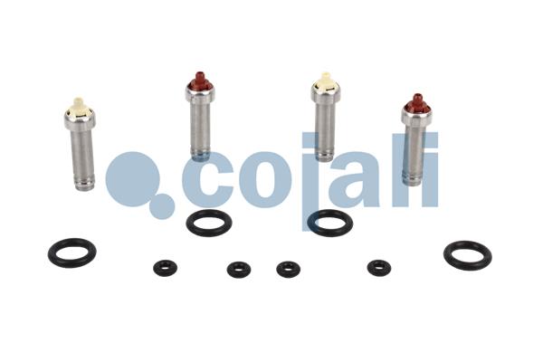 Koppelingsbekrachtiger reparatieset Cojali 6012307