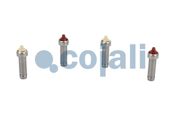 Cojali Koppelingsbekrachtiger reparatieset 6012307