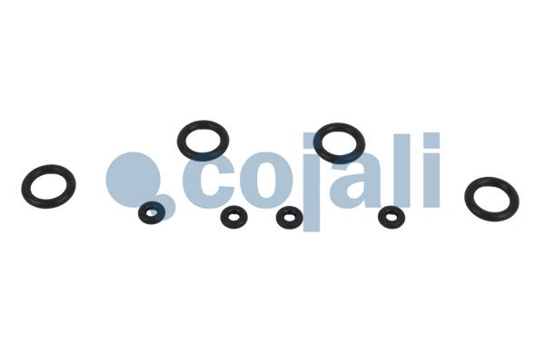 Cojali Koppelingsbekrachtiger reparatieset 6012307