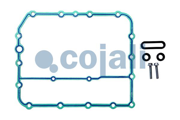 Pakkingset Cojali 6012398