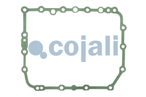Cojali Pakkingset 6012399