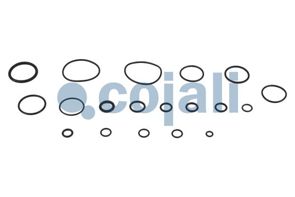 Cojali Koppelingsbekrachtiger reparatieset 6032101