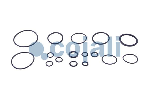 Cojali Koppelingsbekrachtiger reparatieset 6032106